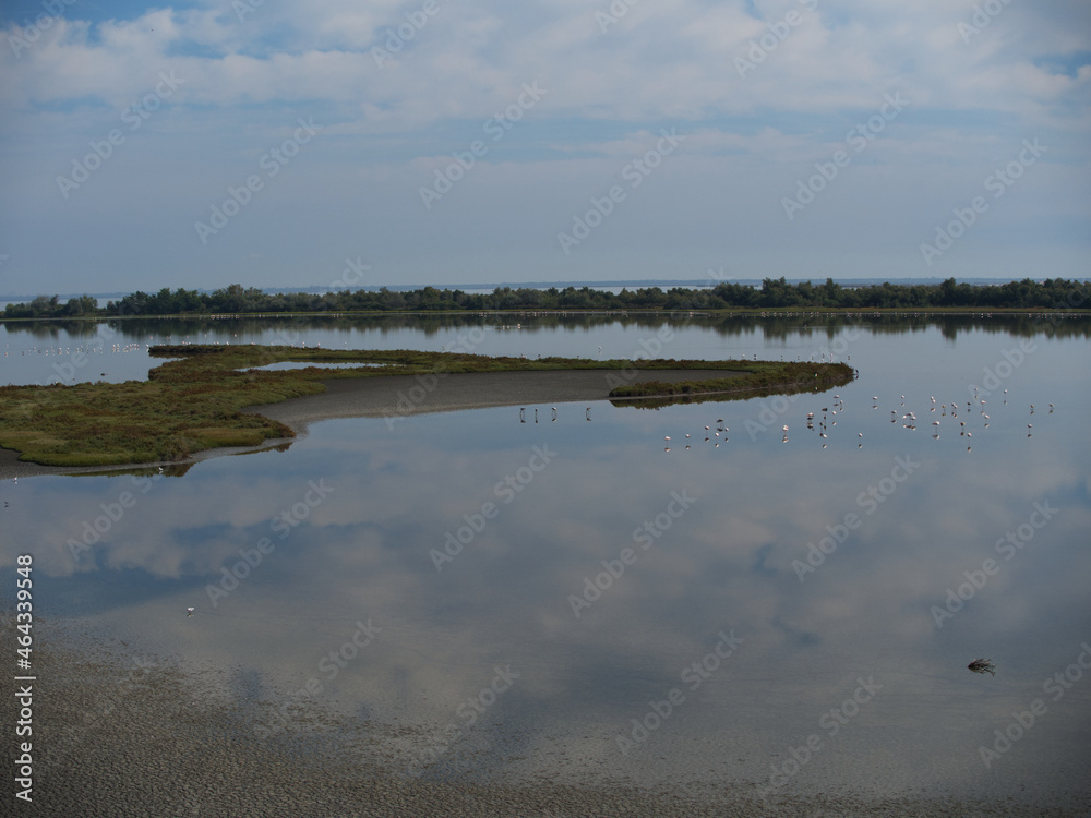 Passeggiando tra natura e bellezze. Valli di Comacchio