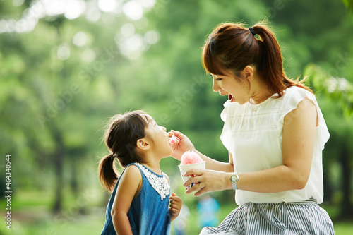 公園内で座って女の子にかき氷をあげるお母さん photo