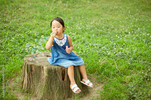 大きな切り株の上に座ってシャボン玉で遊ぶ少女 photo