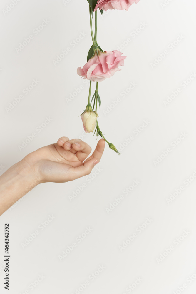 bouquet of flowers in hands close-up light background decoration beauty