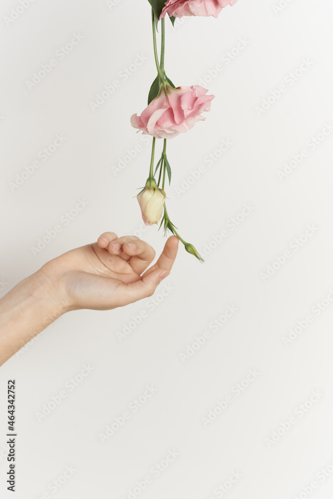 bouquet of flowers in hands close-up light background decoration beauty bouquet of flowers in hands close-up light background decoration beauty