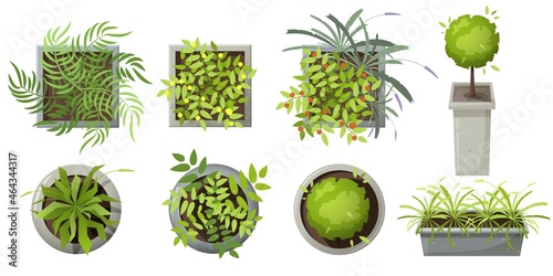 Plants in pots top view. Different colored plants and trees vector set for interior, architectural and landscape design. Isolated on white.Vector illustration. Element for design projects. Green space