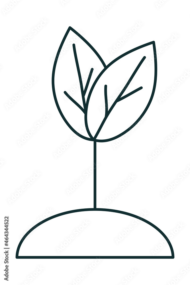 Obraz premium growth plant design