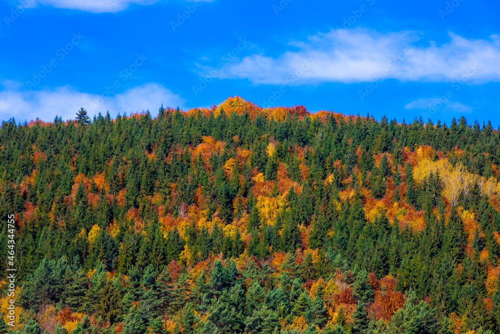 Landscape with forest in many colors on the hill in autumn