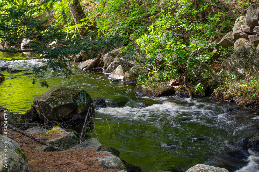 a stream flows through the wilderness of new england