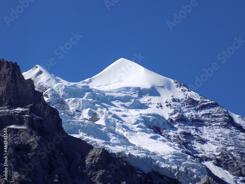 Silberhorn photo