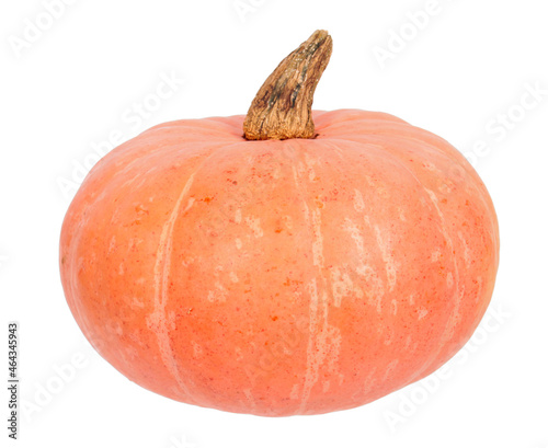 Orange ripe fresh pumpkin isolated on white background