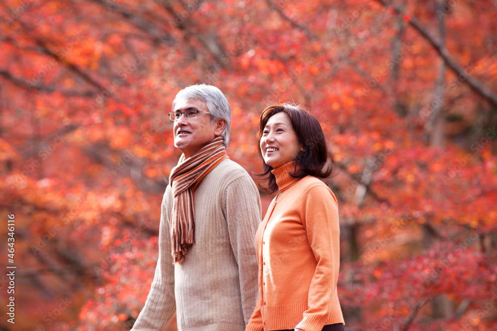 紅葉狩りをする中高年夫婦 紅葉狩りをする中高年夫婦