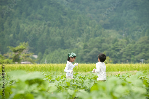 Wallpaper Mural 畑の中の子供男女 Torontodigital.ca