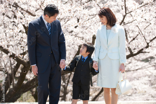 桜と新入学のランドセルの男の子と両親 photo