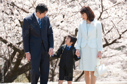 桜と新入学のランドセルの男の子と両親