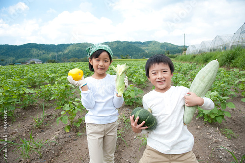 畑で収穫した野菜を持つ子供男女