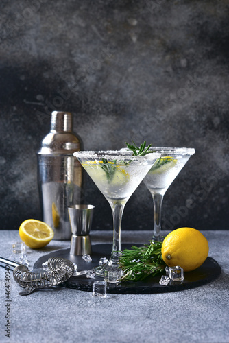 Cold lemon martini with rosemary in a glasses. photo