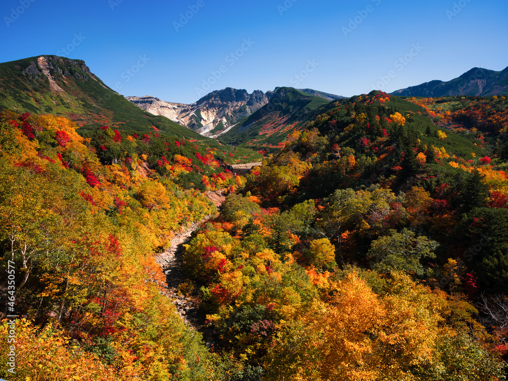 十勝岳温泉の紅葉 十勝岳温泉の紅葉