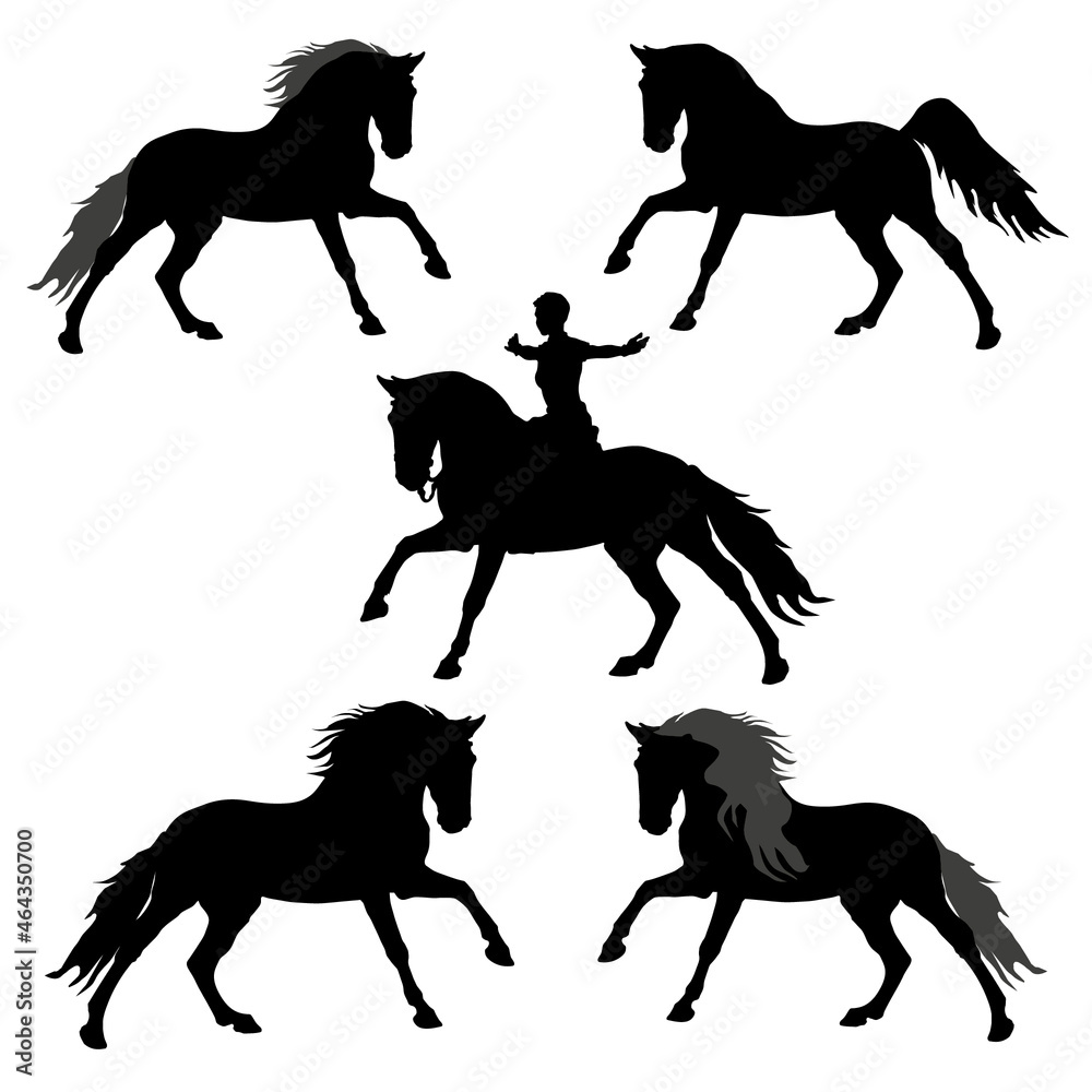 a set of different silhouettes of a galloping horse and a horsewoman isolated on a white background a set of different silhouettes of a galloping horse and a horsewoman isolated on a white background