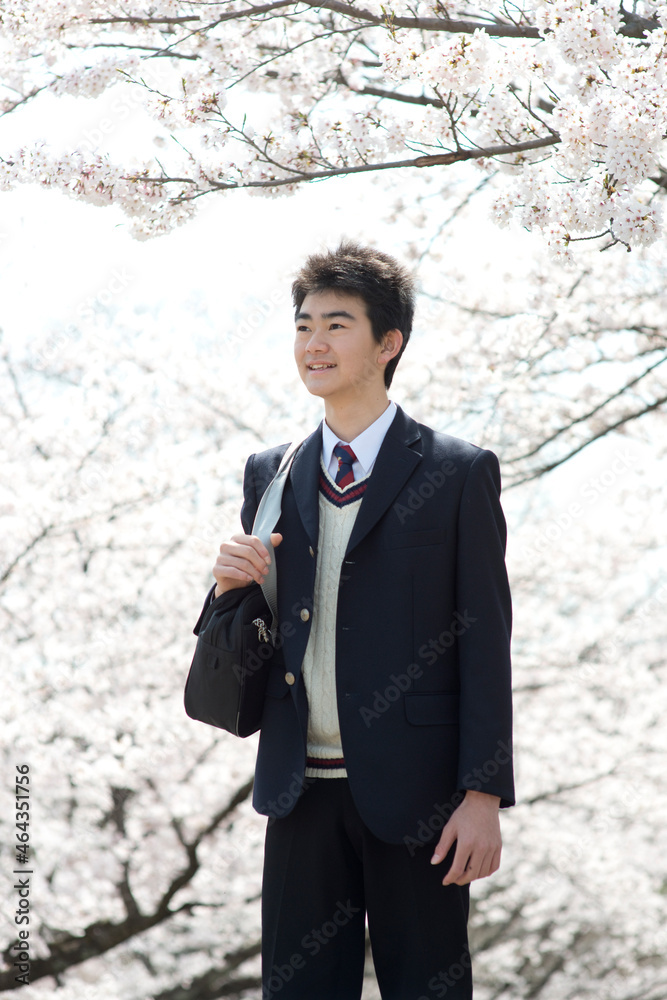 桜と男子高校生 桜と男子高校生