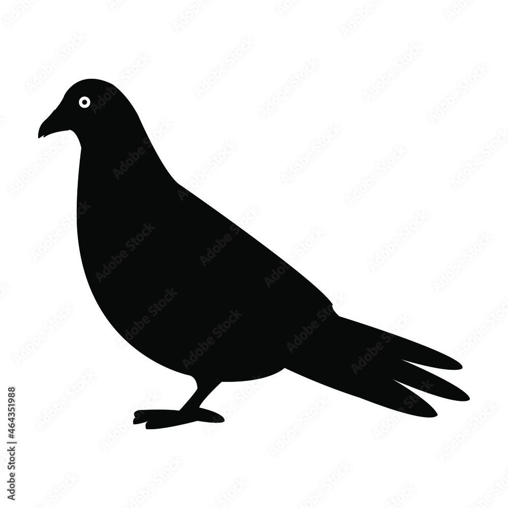 illustration of a pigeon illustration of a pigeon