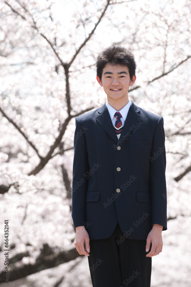 桜と男子高校生 桜と男子高校生