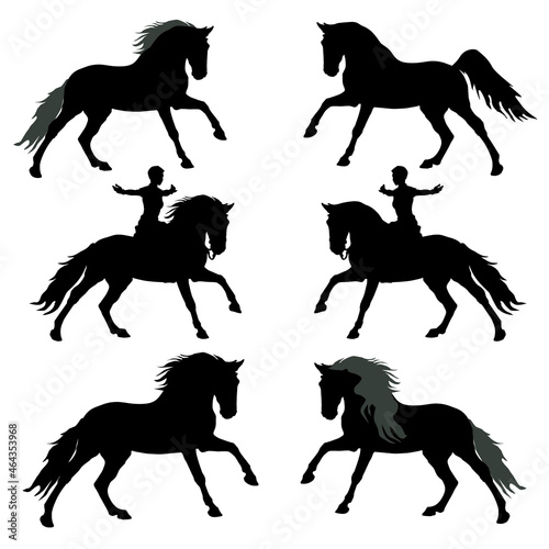 a set of different silhouettes of a galloping horse and a horsewoman isolated on a white background  © Viktoria Suslova