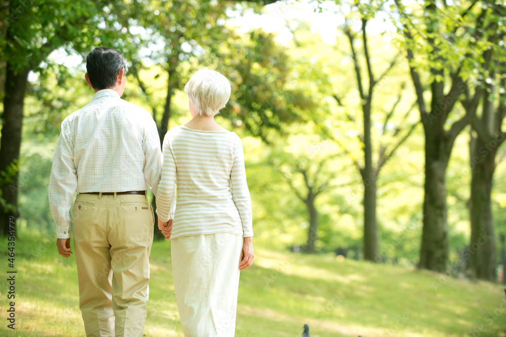 公園を散歩するシニア夫婦後姿 公園を散歩するシニア夫婦後姿