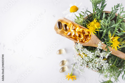 Alternative medicine, naturopathy and dietary supplement. Herbal remedy in capsules and plants. photo