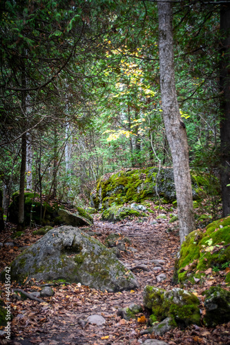 A rocky hiking trail leads through the lush Autumn-coloured forest in Lion s Head Provincial Park on the Bruce Peninsula  Ontario.