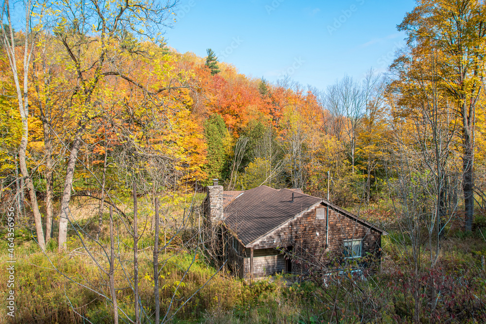 An old abandoned house, crumbling from years of neglect, sits in the Autumn-coloured woods on a bright sunny day near Boyne Valley conservation area in Ontario.