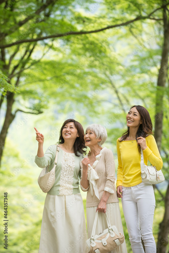 旅行先で新緑の風景を見る三世代女性 旅行先で新緑の風景を見る三世代女性