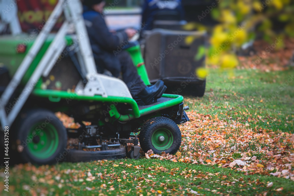Fototapeta premium Removing fallen autumn leaves in the park, process of raking and cleaning the area from yellow leaves, regular seasonal work with tractor, garden tools and modern equipment