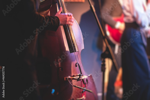 Canvas Print Concert view of a contrabass violoncello player with vocalist and musical band d