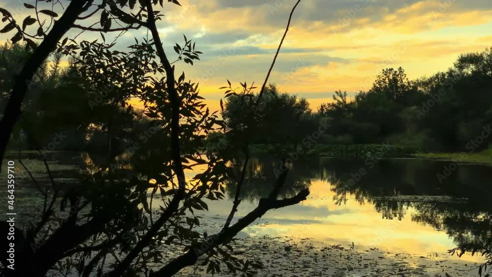 Beautiful view of the lake in the forest on the background of sunset
Beautiful view of the lake in the forest on the background of sunset