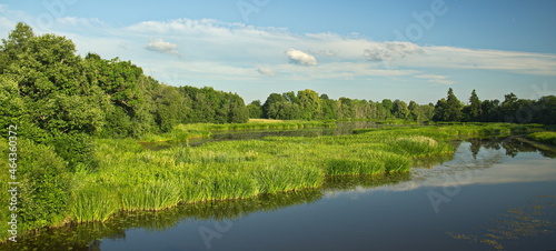 Mill pond in sunny summer day, Zana, Latvia.