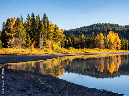 Aspens reflected in pond © SteinwallPhotography