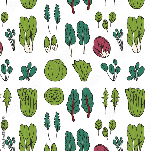 seamless pattern with different types of salad. radicchio, spinach, lettuce, bok choy, mache, swiss chard, butterhead, tatsoi, watercress, kale, dandelion