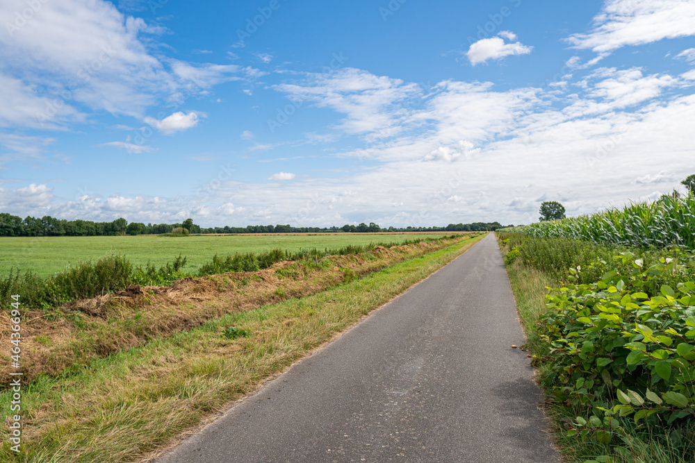 Road through great green grass field with cloudy sky at borgfelder wümmewiesen, biggest nature reserve of bremen Road through great green grass field with cloudy sky at borgfelder wümmewiesen, biggest nature reserve of bremen