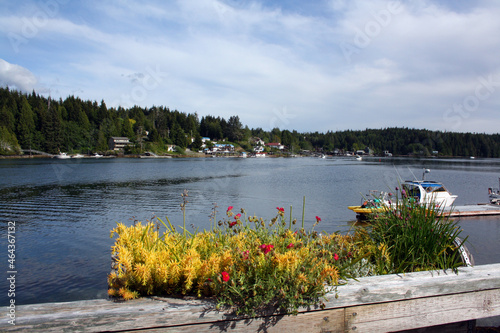 Beautiful view of a calm lake surrounded by trees in Bamfield, British Columbia, Canada photo