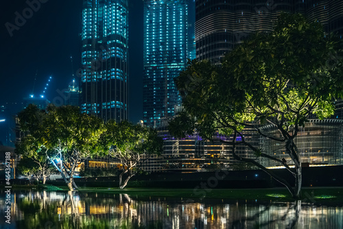 Trees with reflection in water  high buildings at background in Dubai downtown at night.