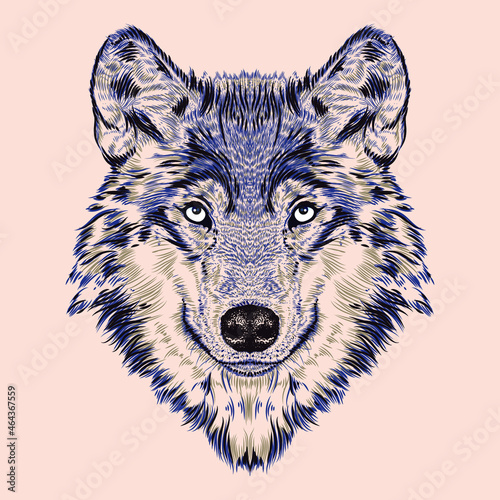 Blue Dog