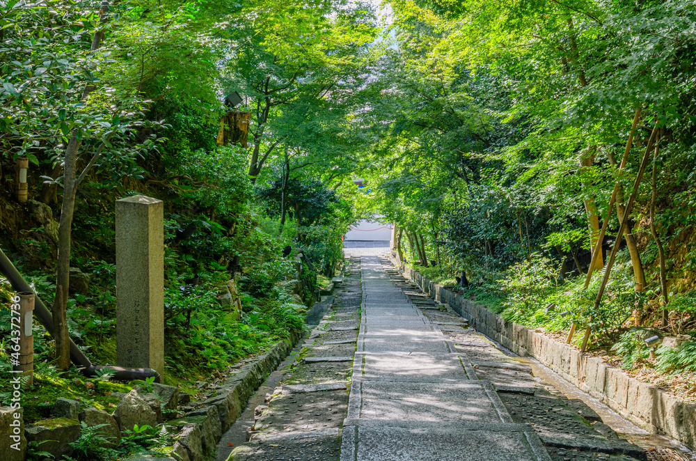 京都　高台寺の台所坂
