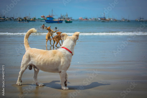 amigos peleando