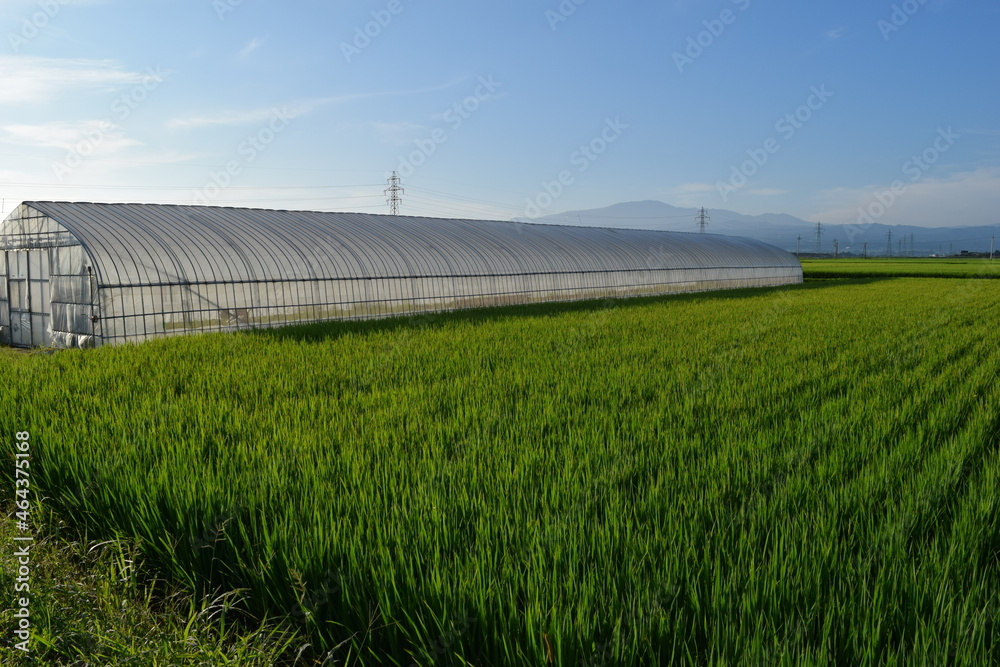 ビニールハウスと田園風景