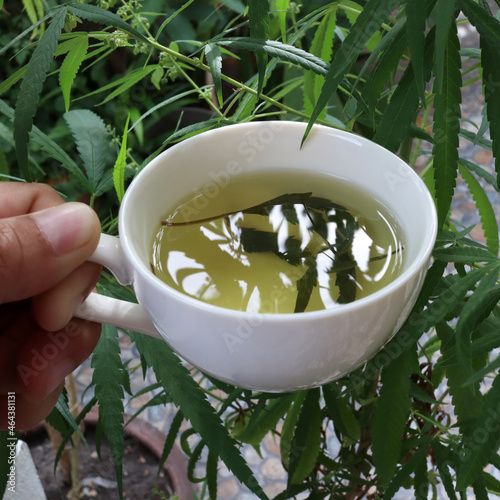 selective focus hemp tea in a white cup with cannabis leaf