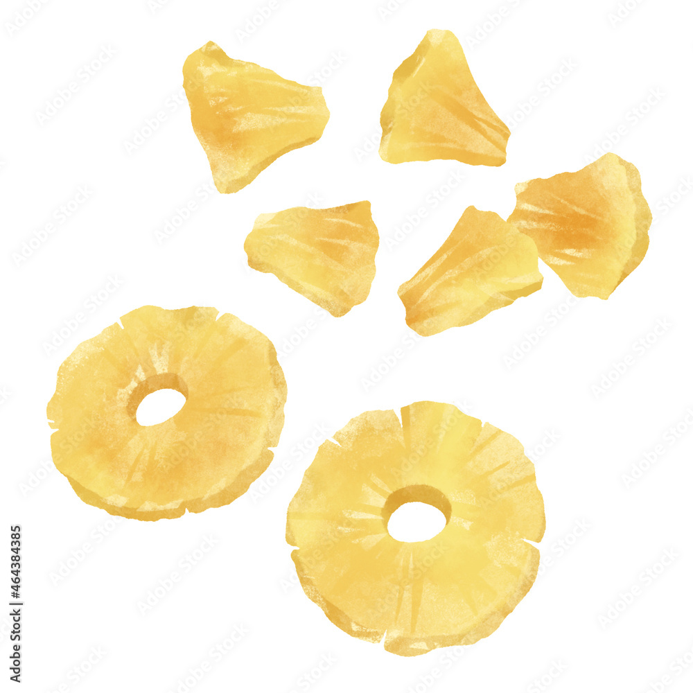 ドライフルーツ パイナップル の手描きイラスト Stock Illustration Adobe Stock