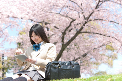 タブレットPCを操作している女子高生 photo