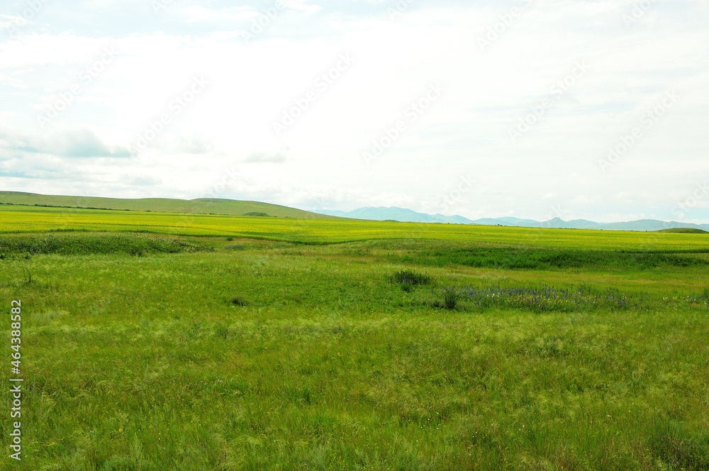 Endless hilly steppes overgrown with low grass overlooking the mountain range in the background.