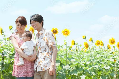 ひまわり畑と笑顔の家族3人