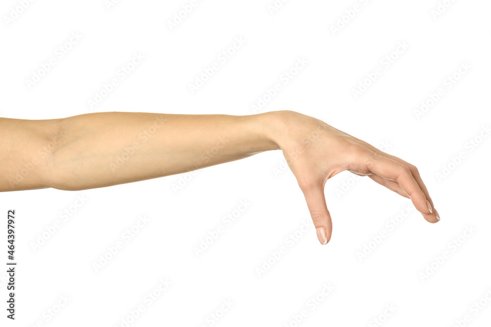 Hand picking, holding, grabbing or reaching. Woman hand gesturing isolated on white Hand picking, holding, grabbing or reaching. Woman hand gesturing isolated on white