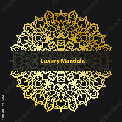 Vector round abstract circle. Luxury Mandala style.