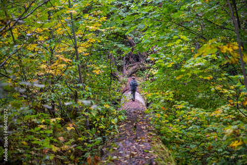 Child walking through the forest in fall