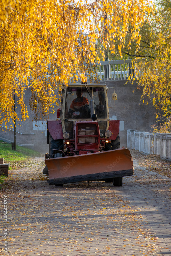 Cleaning of leaves on the sidewalk with a tractor with a blade in autumn